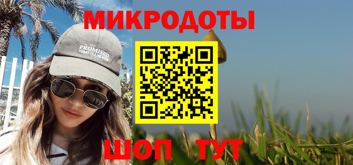 Александров  Галлюциногенные грибы Psilocybe  Вход с VPN 