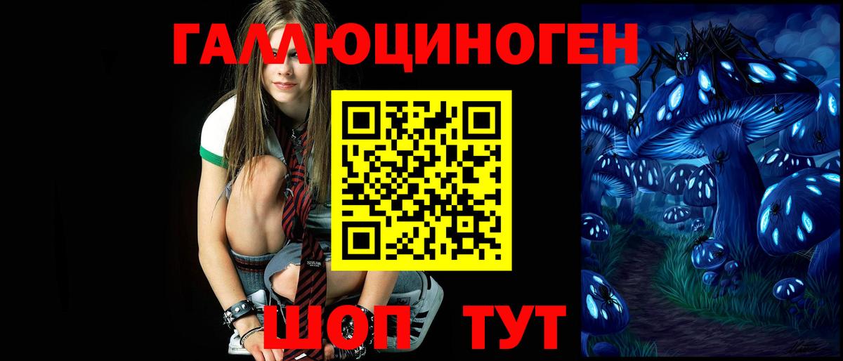 Псилоцибиновые грибы Psilocybe Александров